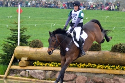 radolfzell-2013_cic1-266-jpg