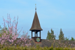 radolfzell-2015_cic1-002-jpg