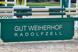 radolfzell-2015_cic1-004-jpg