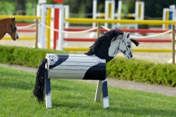radolfzell-2015_cic1-007-jpg