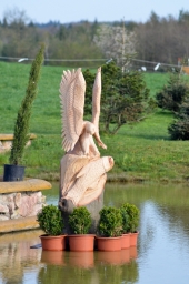 radolfzell-2015_cic1-010-jpg