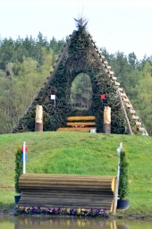 radolfzell-2015_cic1-011-jpg
