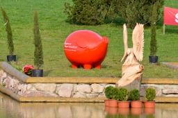 radolfzell-2015_cic1-014-jpg