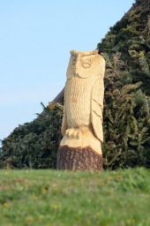 radolfzell-2015_cic1-015-jpg