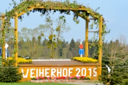 radolfzell-2015_cic1-016-jpg