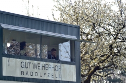 radolfzell-2015_cic1-018-jpg