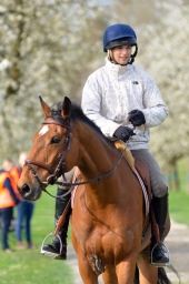 radolfzell-2015_cic1-020-jpg