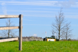 radolfzell-2015_cic1-023-jpg