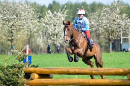 radolfzell-2015_cic1-025-jpg