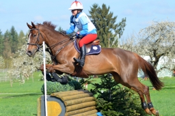 radolfzell-2015_cic1-026-jpg