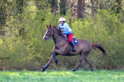 radolfzell-2015_cic1-029-jpg