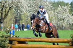 radolfzell-2015_cic1-031-jpg