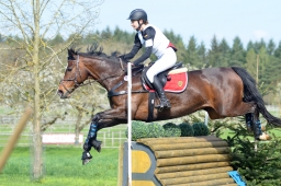 radolfzell-2015_cic1-032-jpg
