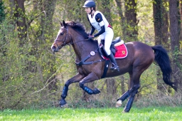 radolfzell-2015_cic1-033-jpg