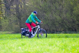 radolfzell-2015_cic1-034-jpg