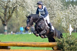 radolfzell-2015_cic1-035-jpg