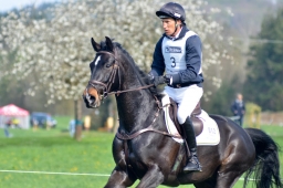 radolfzell-2015_cic1-036-jpg