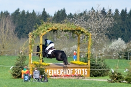 radolfzell-2015_cic1-039-jpg