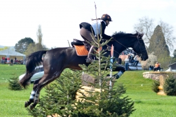 radolfzell-2015_cic1-040-jpg
