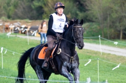 radolfzell-2015_cic1-041-jpg