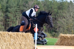 radolfzell-2015_cic1-042-jpg