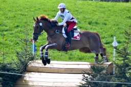 radolfzell-2015_cic1-043-jpg
