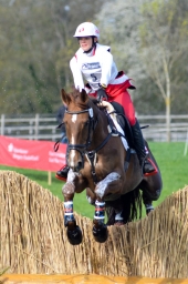 radolfzell-2015_cic1-044-jpg
