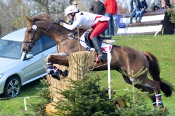 radolfzell-2015_cic1-045-jpg