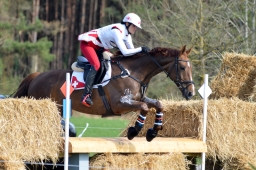 radolfzell-2015_cic1-046-jpg