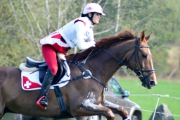 radolfzell-2015_cic1-047-jpg