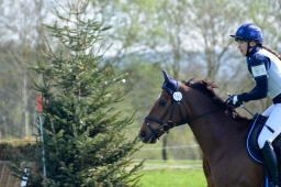 radolfzell-2015_cic1-048-jpg