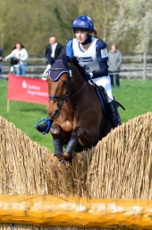 radolfzell-2015_cic1-049-jpg