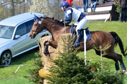 radolfzell-2015_cic1-051-jpg