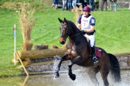 radolfzell-2015_cic1-054-jpg