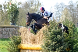 radolfzell-2015_cic1-055-jpg