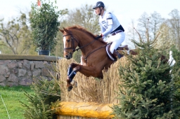radolfzell-2015_cic1-057-jpg