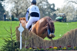 radolfzell-2015_cic1-058-jpg