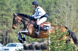 radolfzell-2015_cic1-062-jpg