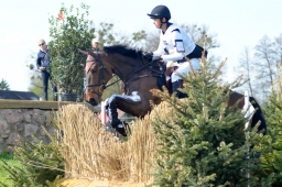 radolfzell-2015_cic1-063-jpg