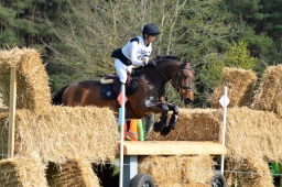 radolfzell-2015_cic1-064-jpg