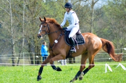 radolfzell-2015_cic1-065-jpg