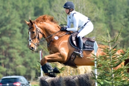 radolfzell-2015_cic1-066-jpg