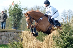 radolfzell-2015_cic1-067-jpg