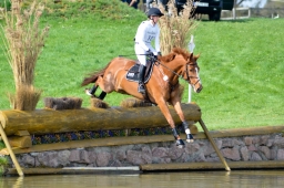 radolfzell-2015_cic1-068-jpg