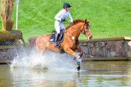radolfzell-2015_cic1-069-jpg