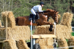 radolfzell-2015_cic1-070-jpg