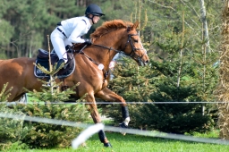 radolfzell-2015_cic1-071-jpg