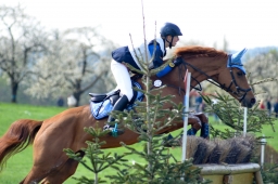 radolfzell-2015_cic1-072-jpg