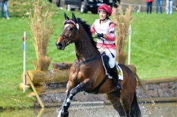 radolfzell-2015_cic1-081-jpg