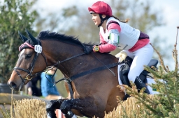 radolfzell-2015_cic1-082-jpg